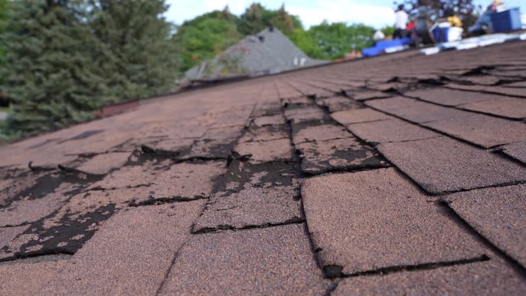Professional Roofing Services in Robinson, TX